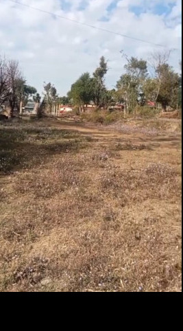  320 Marla Residential Plot for Sale in Palampur Road, Dharamsala