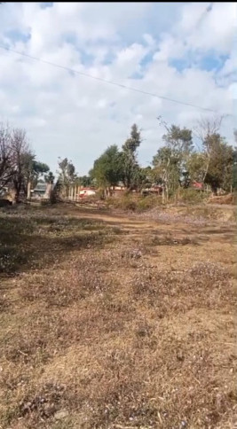  320 Marla Residential Plot for Sale in Palampur Road, Dharamsala