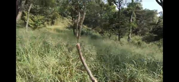  6300 Marla Residential Plot for Sale in Amb, Una