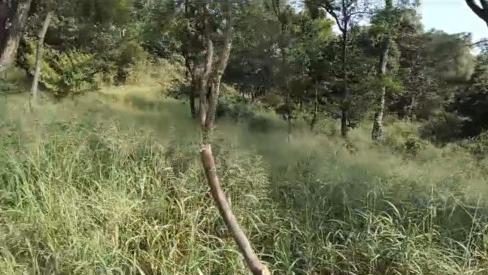  6300 Marla Residential Plot for Sale in Amb, Una