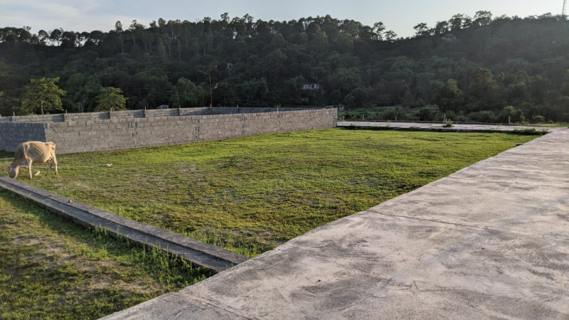  23 Marla Residential Plot for Sale in Shahpur, Kangra