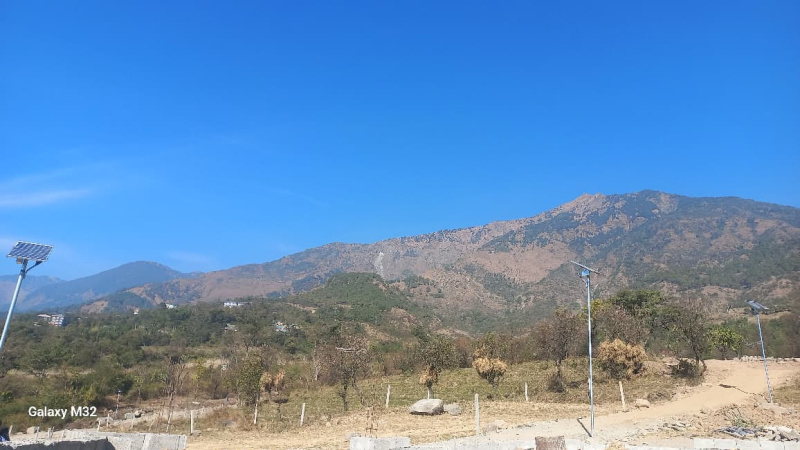  35 Marla Residential Plot for Sale in Tang Narwana, Dharamshala