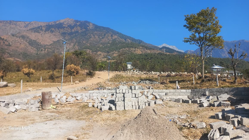  35 Marla Residential Plot for Sale in Tang Narwana, Dharamshala