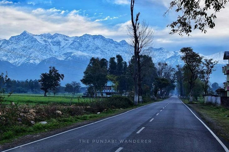  16 Marla Residential Plot for Sale in Dari, Dharamsala