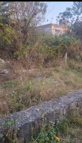  16 Marla Residential Plot for Sale in Dari, Dharamsala