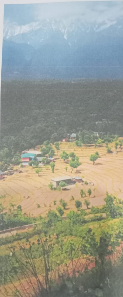  140 Marla Commercial Land for Sale in Sukkad Road, Dharamsala