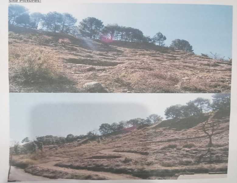  140 Marla Commercial Land for Sale in Sukkad Road, Dharamsala