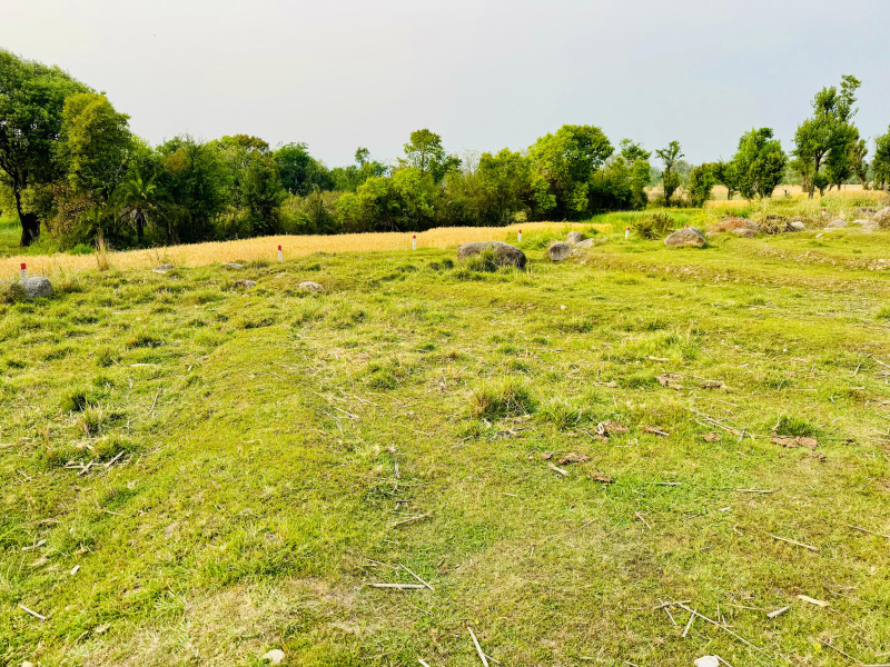  2000 Marla Residential Plot for Sale in Jogipura, Kangra