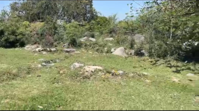  20 Marla Residential Plot for Sale in Sukkad Road, Dharamsala