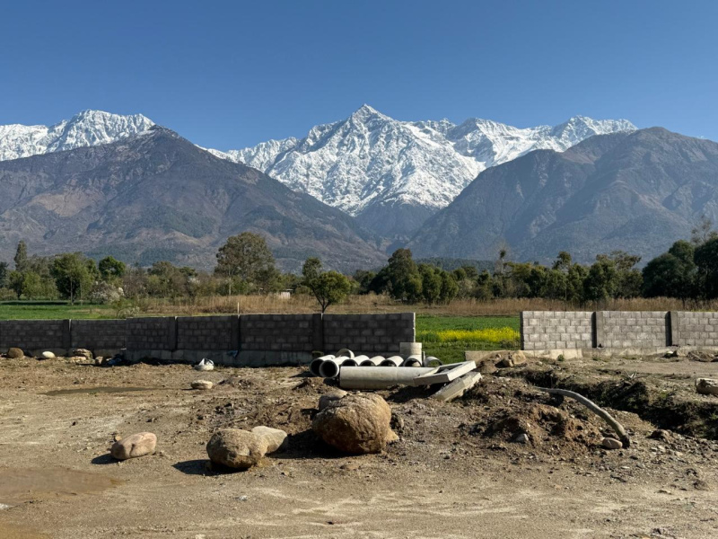  20 Marla Residential Plot for Sale in Tang Narwana, Dharamshala