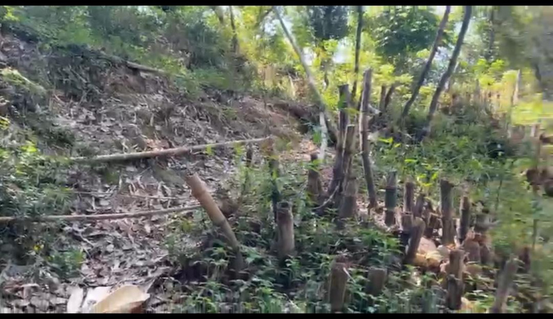  7 Marla Residential Plot for Sale in Tang Narwana, Dharamshala