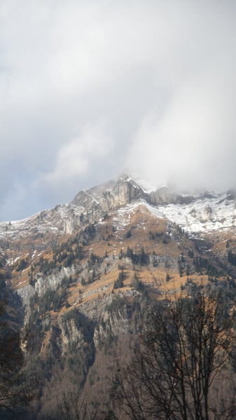  39 Marla Residential Plot for Sale in Shyam Nagar, Dharamsala