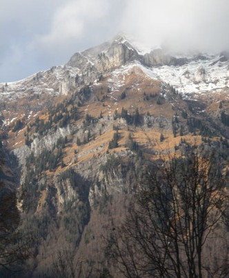  17 Marla Residential Plot for Sale in Ram Nagar, Dharamshala