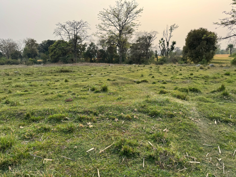  25 Marla Residential Plot for Sale in Ram Nagar, Dharamshala