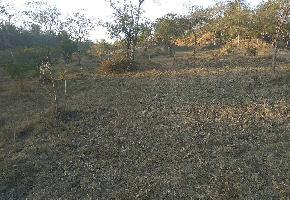  Agricultural Land for Sale in Bangana, Una