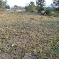  Residential Plot for Sale in Bangana, Una