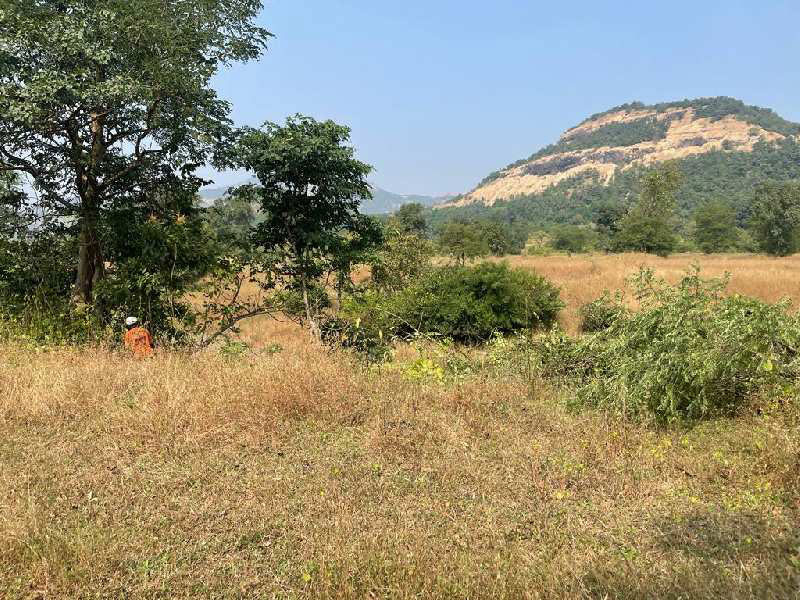  Agricultural Land 100 Acre for Sale in Khalapur, Navi Mumbai