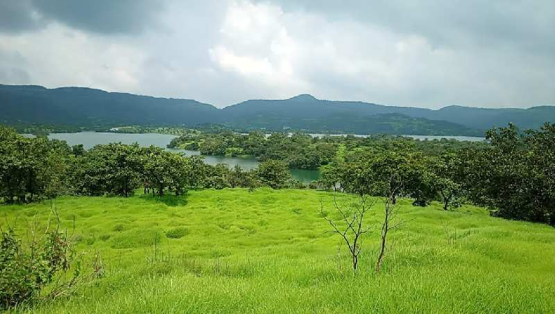  Residential Plot 5 Acre for Sale in Somatane, Pune