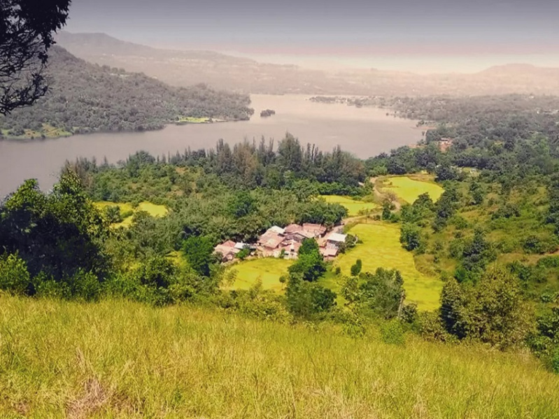  Agricultural Land 10000 Sq.ft. for Sale in Kamshet, Pune