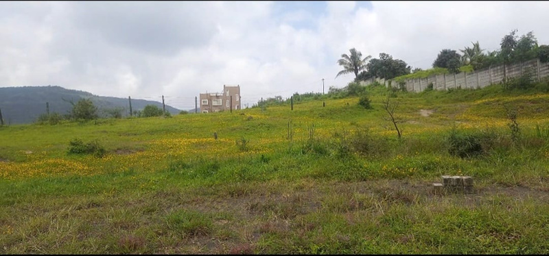  Agricultural Land 4 Acre for Sale in Mulshi, Pune