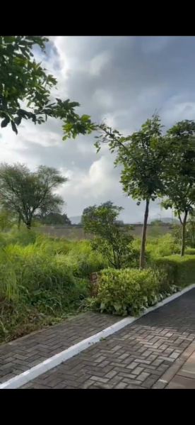  Residential Plot 2200 Sq.ft. for Sale in Hinjewadi Phase 2, Pune