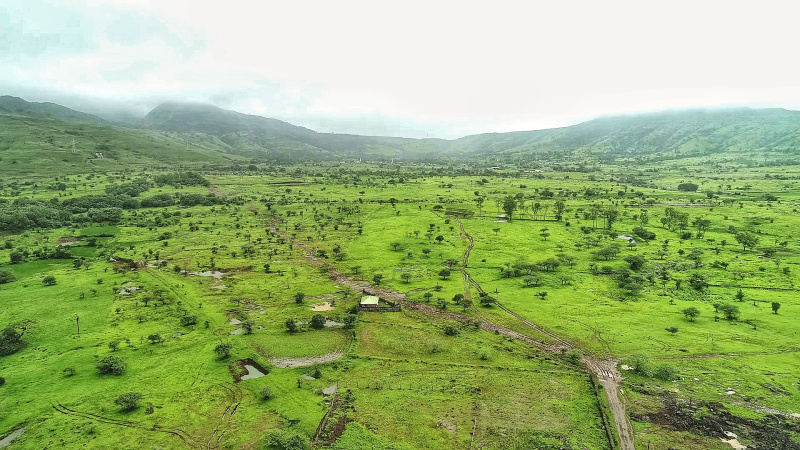  4 Acre Agricultural/Farm Land for Sale in Maval, Pune
