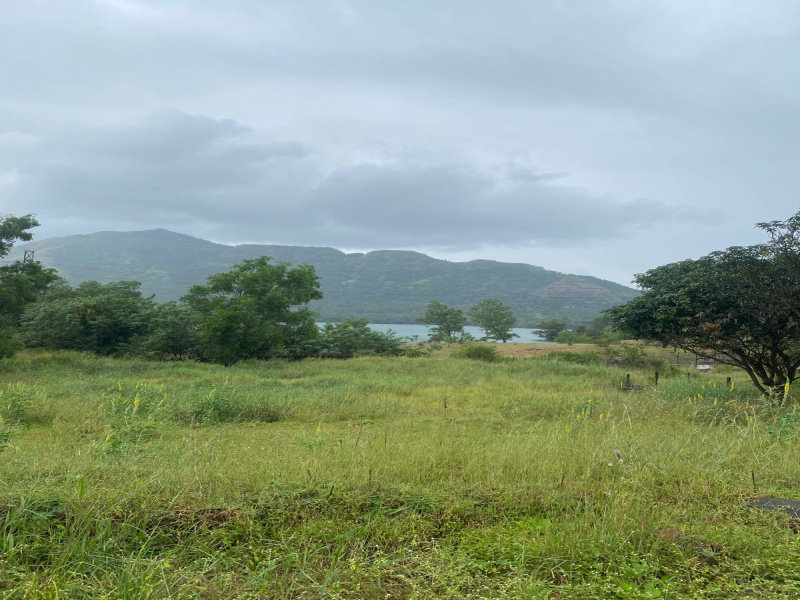  25000 Sq.ft. Agricultural/Farm Land for Sale in Mulshi, Pune