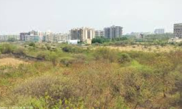110000 Sq.ft. Residential Plot for Sale in Wakad, Pune