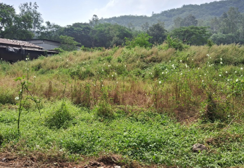  95000 Sq.ft. Commercial Land for Sale in Maval, Pune