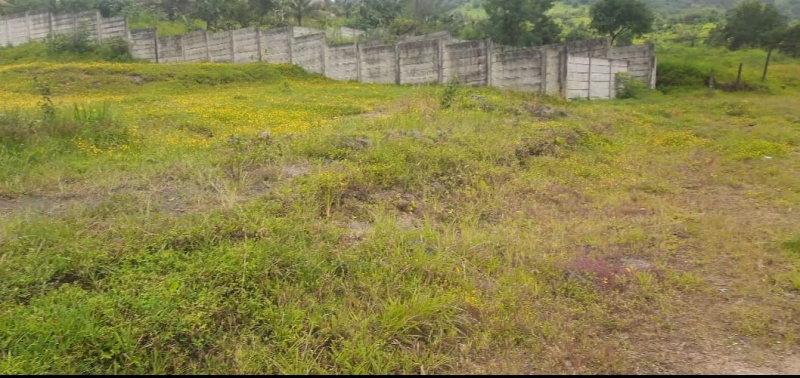  11000 Sq.ft. Agricultural/Farm Land for Sale in Khamboli, Pune