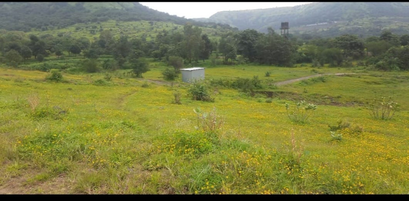  11000 Sq.ft. Agricultural/Farm Land for Sale in Khamboli, Pune