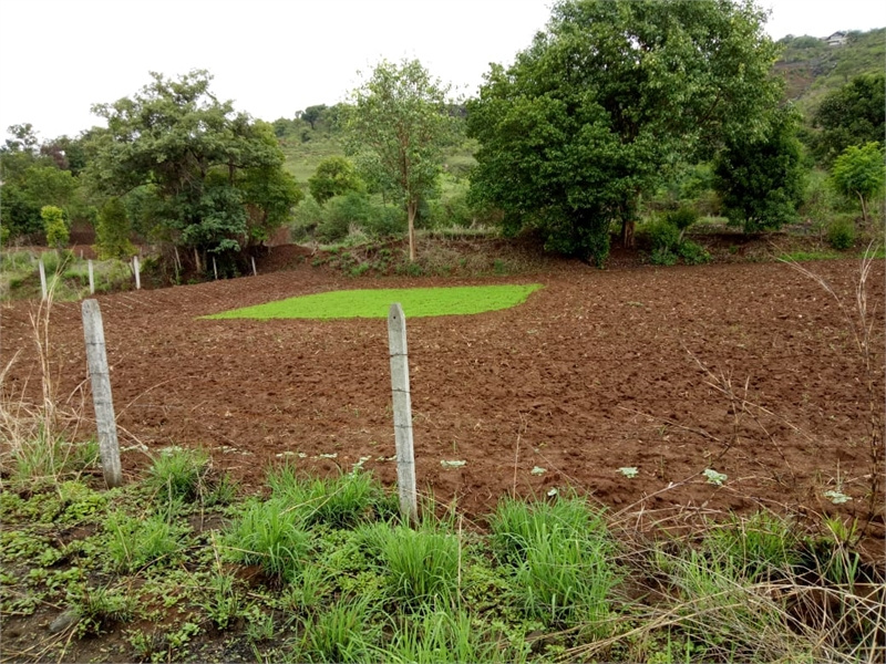  15 Acre Residential Plot for Sale in Mavel, Pune