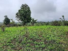  Agricultural Land for Sale in Maval, Pune
