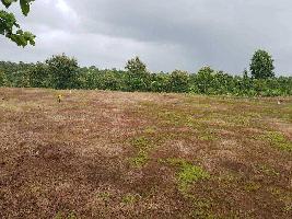  Residential Plot for Sale in Mahad, Raigad