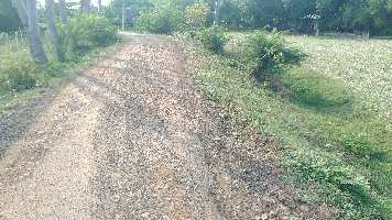  Agricultural Land for Sale in Ayyampettai, Thanjavur