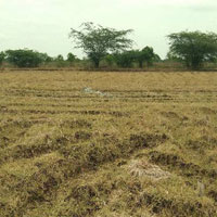  Agricultural Land for Sale in Mayiladuthurai, Nagapattinam