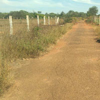  Agricultural Land for Sale in Gandarvakottai, Pudukkottai