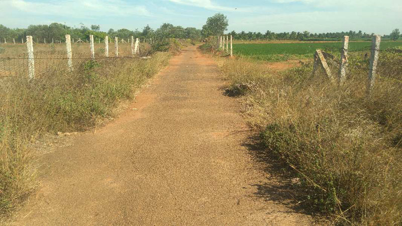  Agricultural Land 13 Acre for Sale in Gandarvakottai, Pudukkottai