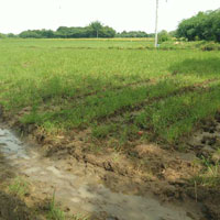  Agricultural Land for Sale in Melattur, Thanjavur