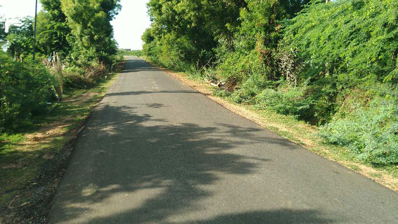  Agricultural Land 20 Acre for Sale in Keezhapalur, Ariyalur