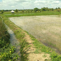  Agricultural Land for Sale in Peravurani, Thanjavur