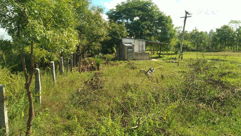  Agricultural Land 2 Acre for Sale in Cheyyar, Tiruvannamalai