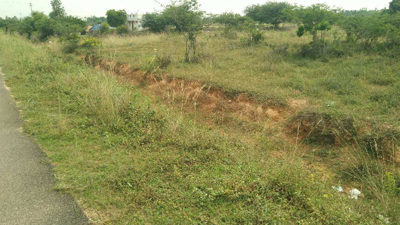  Agricultural Land 22 Acre for Sale in Keeranur, Pudukkottai