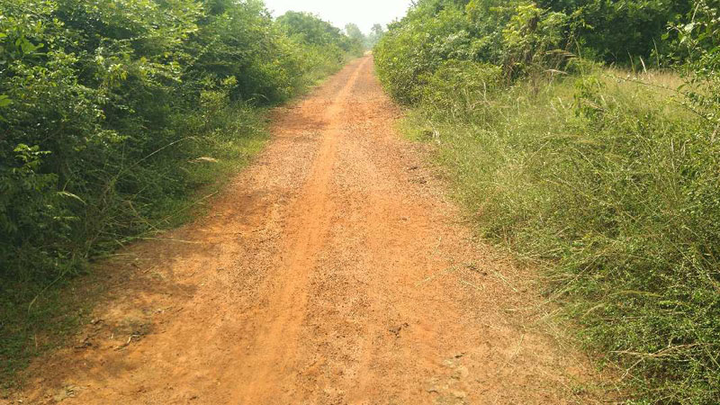 Agricultural Land 68 Cent for Sale in Marungulam, Thanjavur
