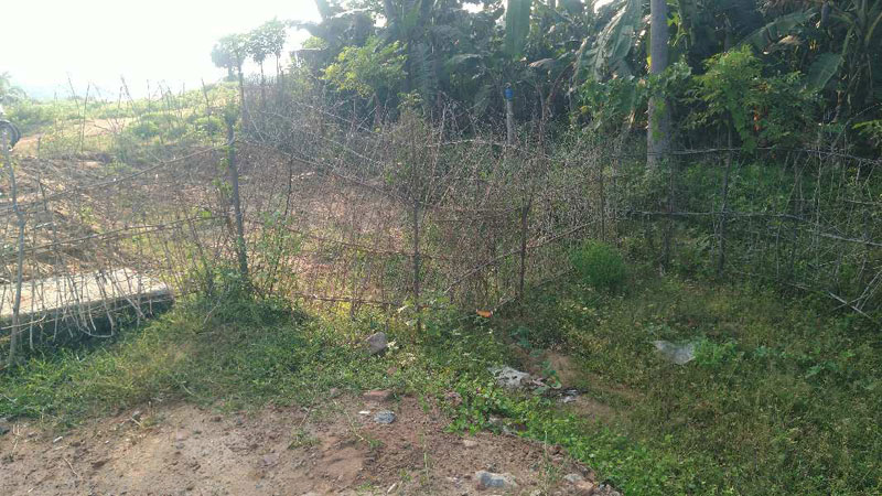  Agricultural Land 2 Acre for Sale in Thiruvaiyaru, Thanjavur