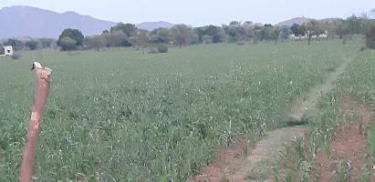  Agricultural Land for Sale in Jaipur Road, Ajmer