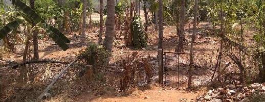  Residential Plot for Sale in Shoranur, Palakkad