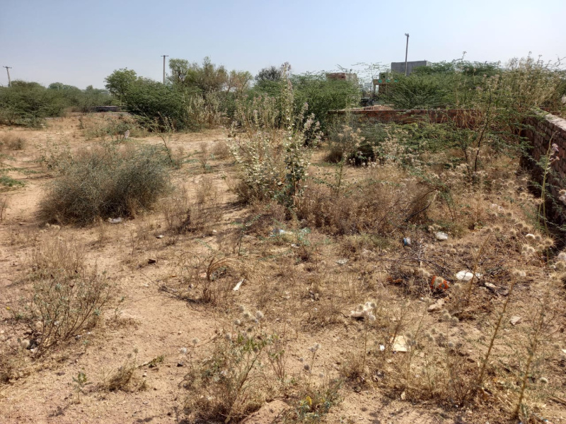  Residential Plot 1800 Sq.ft. for Sale in Pal Gaon, Jodhpur