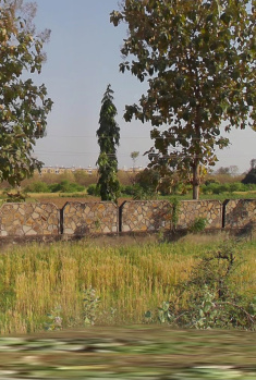  Agricultural Land for Sale in Chikani, Alwar