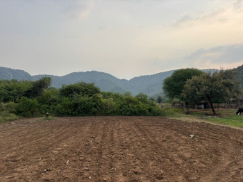  Agricultural Land for Sale in Khairthal, Alwar